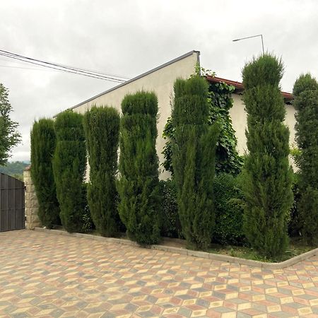 Hotel Doko Мартвили Экстерьер фото